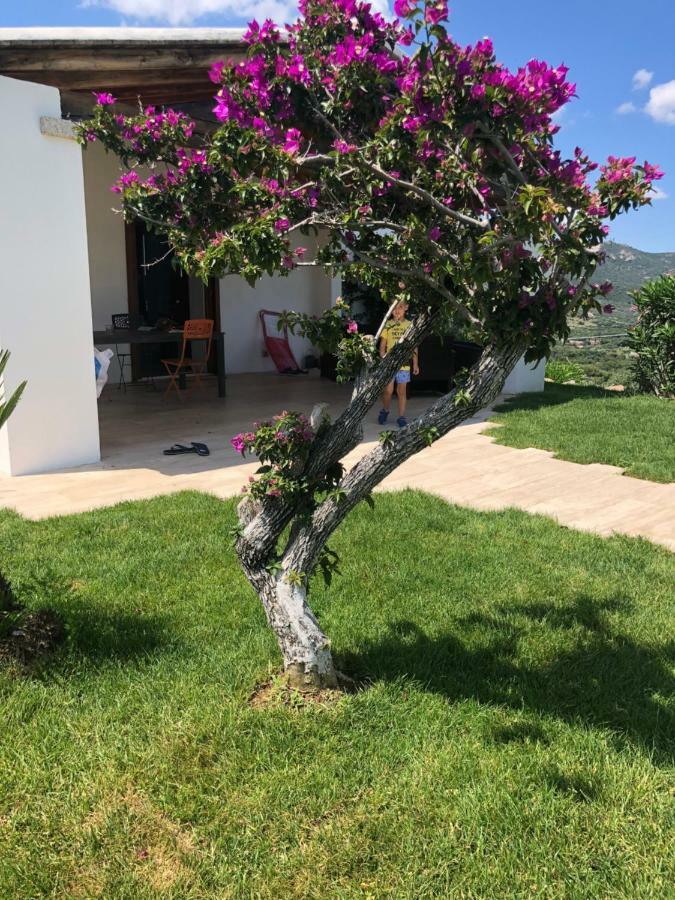 Villa Alba Esclusiva Villa Con Piscina A Sfioro E Vista Mozzafiato Sul Mare Cugnana Kültér fotó